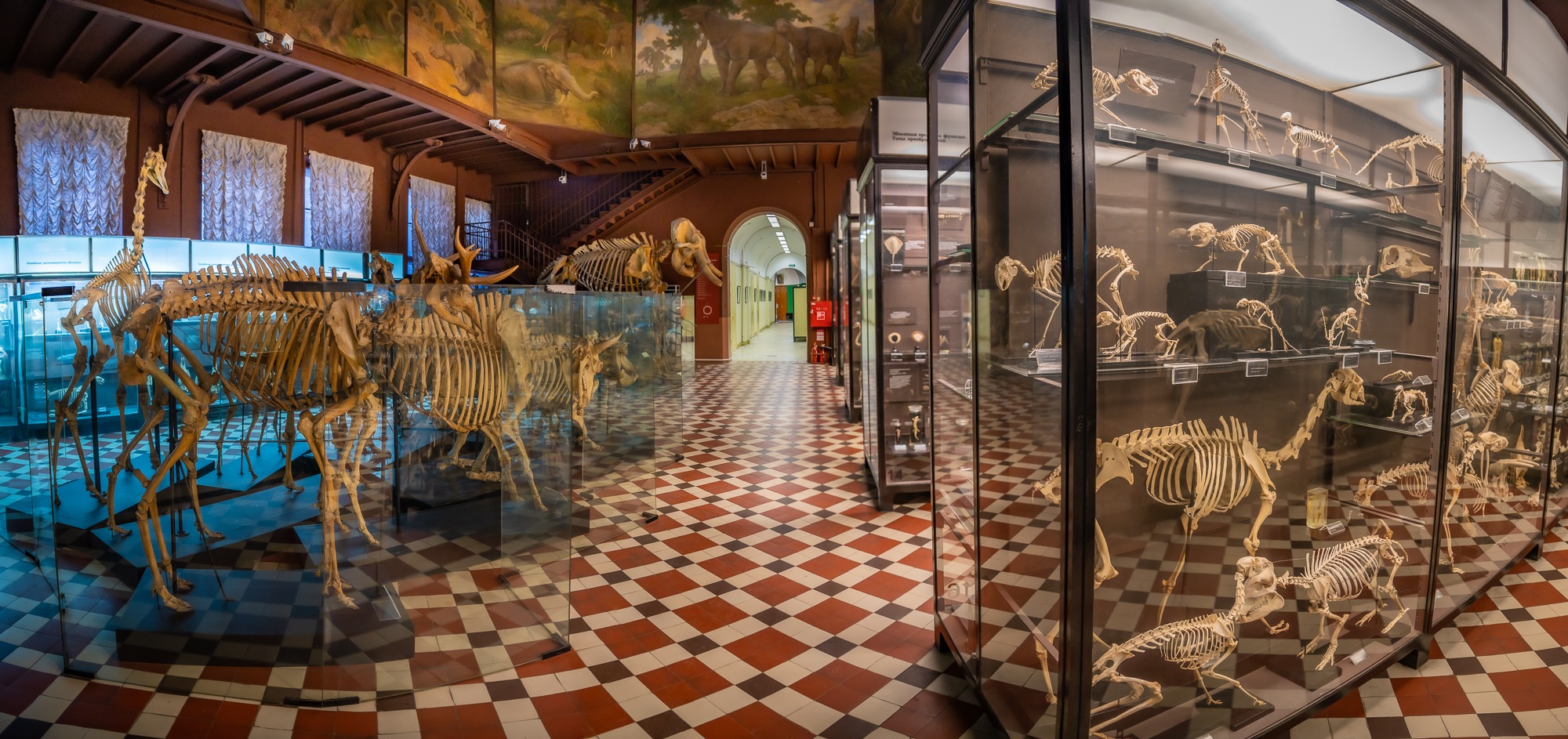 Зоологический музей МГУ